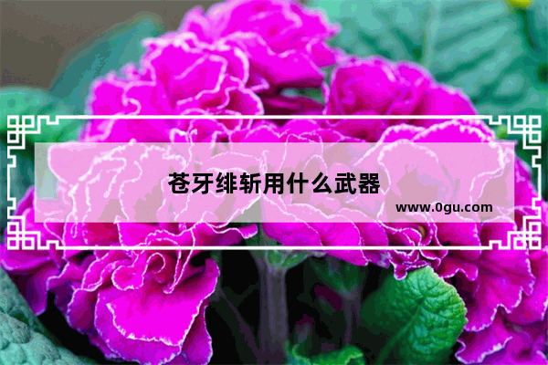 苍牙绯斩用什么武器