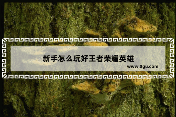 新手怎么玩好王者荣耀英雄