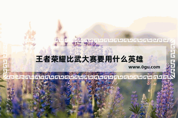 王者荣耀比武大赛要用什么英雄