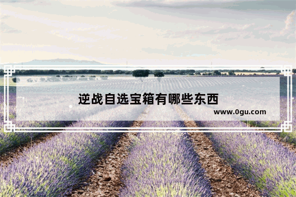 逆战自选宝箱有哪些东西