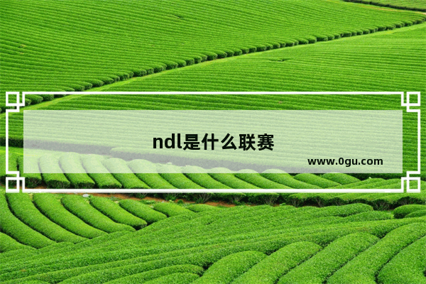 ndl是什么联赛