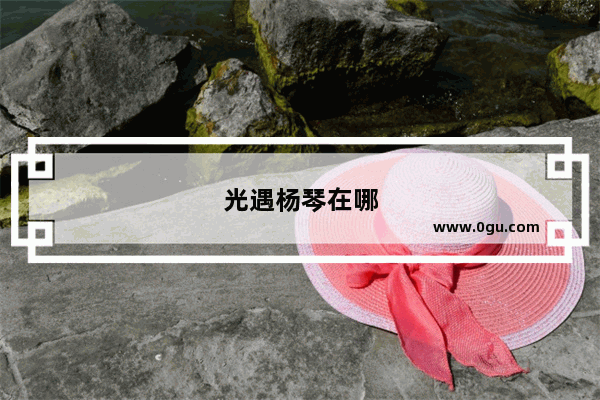 光遇杨琴在哪