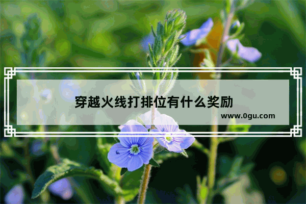 穿越火线打排位有什么奖励