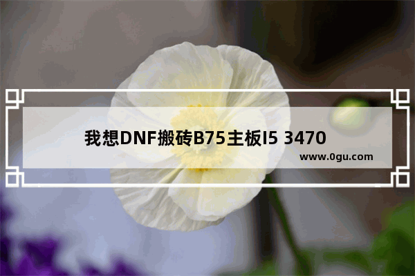 我想DNF搬砖B75主板I5 3470 8G内存120固态 还用买显卡吗