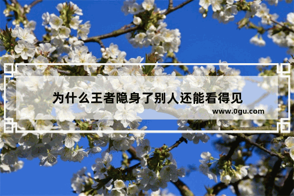 为什么王者隐身了别人还能看得见