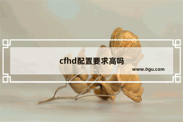 cfhd配置要求高吗