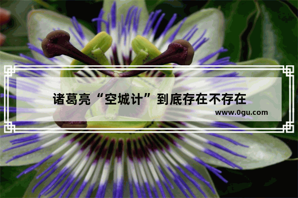 诸葛亮“空城计”到底存在不存在