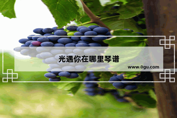 光遇你在哪里琴谱