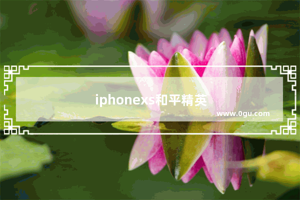 iphonexs和平精英掉帧