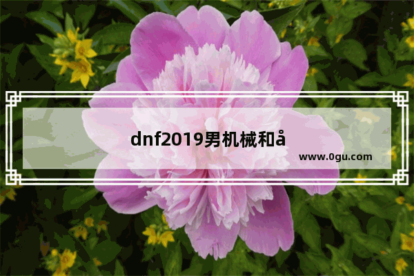 dnf2019男机械和女机械哪个伤害高