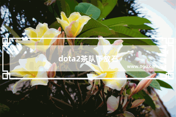 dota2茶队下放石头 ftd中单lover和Q博士加入 你怎么看