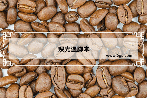 琛光遇脚本