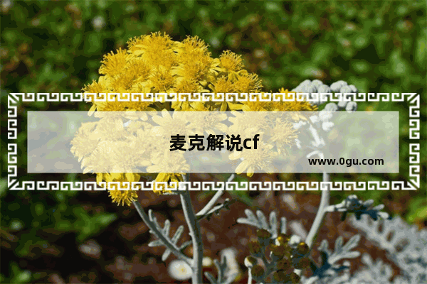 麦克解说cf