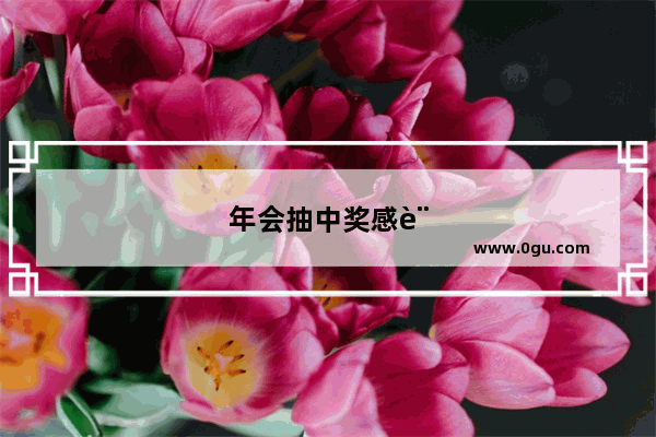 年会抽中奖感言幽默