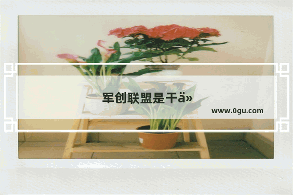 军创联盟是干什么的
