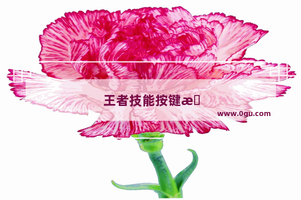 王者技能按键怎么调才是最合适