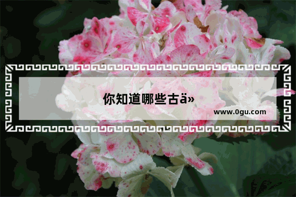 你知道哪些古代历史人物的一些不为人知的小秘密