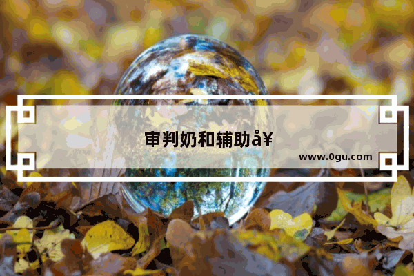 审判奶和辅助奶的区别
