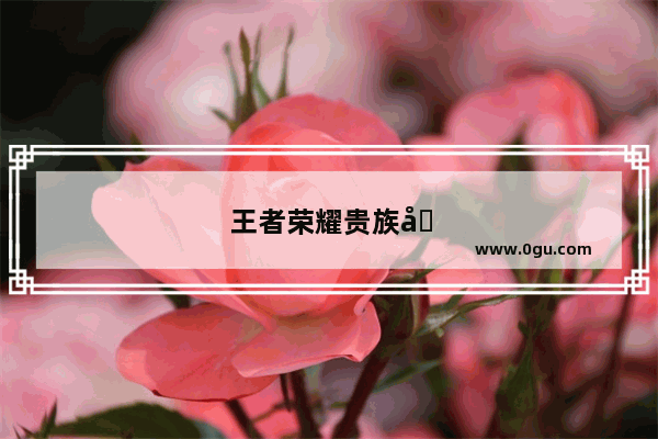 王者荣耀贵族几可以用满级铭文