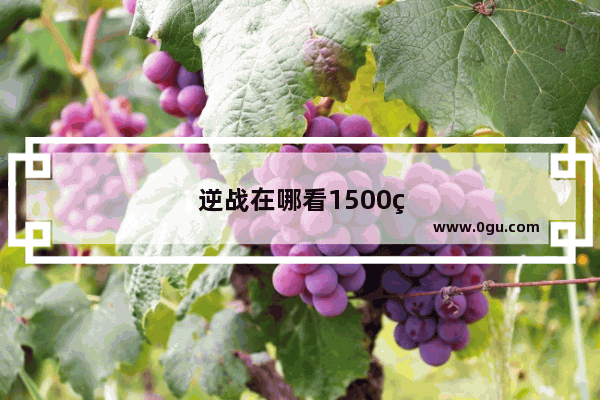 逆战在哪看1500经验值