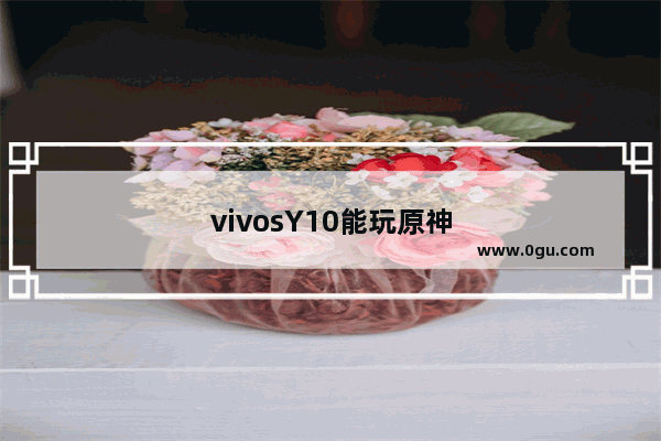 vivosY10能玩原神吗