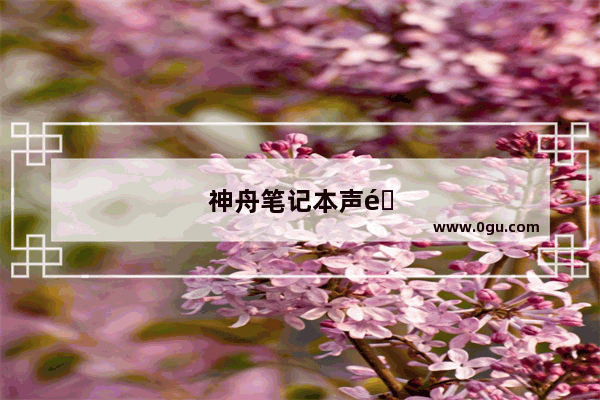 神舟笔记本声音太小怎么办