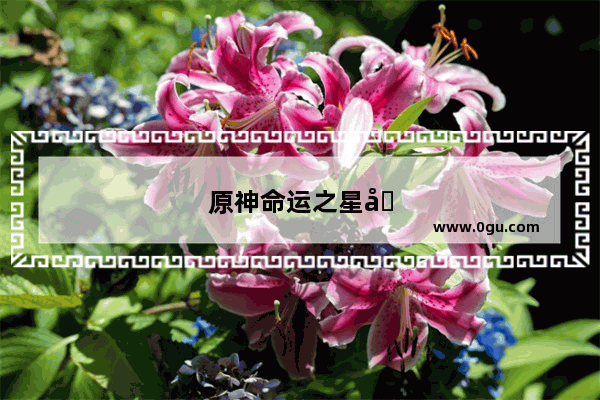 原神命运之星剧情攻略大全