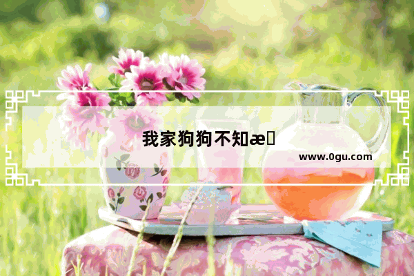 我家狗狗不知最近怎么了 总是坐在地下摸屁股。是不是缺什么呢