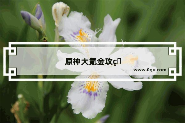 原神大氪金攻略视频