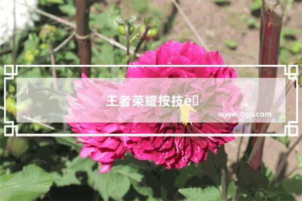 王者荣耀按技能没反应怎么修复