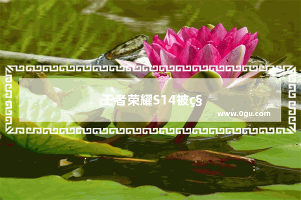 王者荣耀S14被称为最烂赛季 主要原因是射手强势 战神陨落 虚假宣传 你认同吗