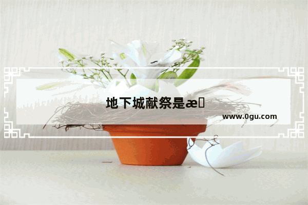 地下城献祭是怎么回事