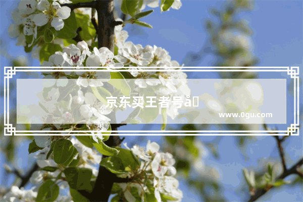 京东买王者号可靠吗