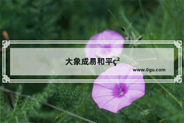 大象成易和平精英