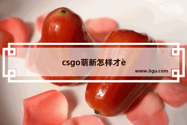 csgo萌新怎样才能在不影响他人游戏体验的情况下提升技术