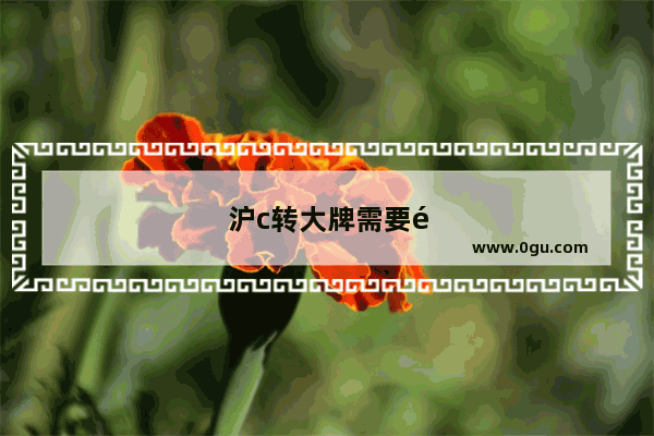 沪c转大牌需要预约吗