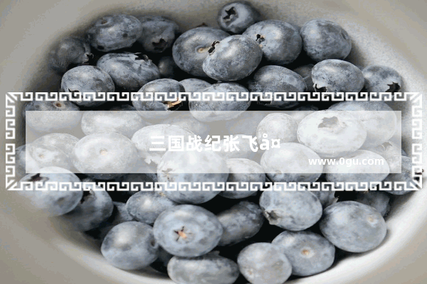 三国战纪张飞大招怎么放