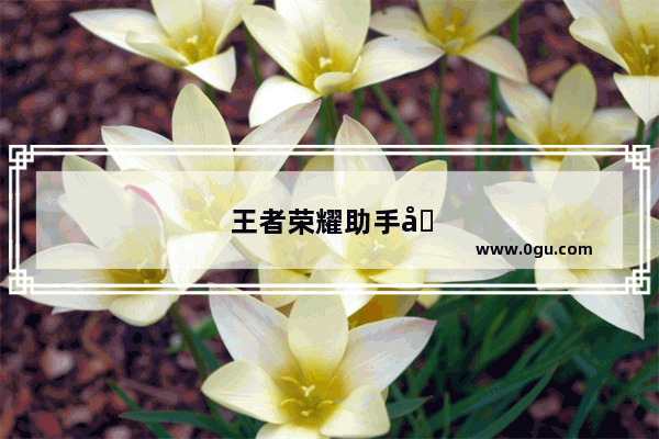 王者荣耀助手可以搜索玩家游戏ID查玩家的资料吗