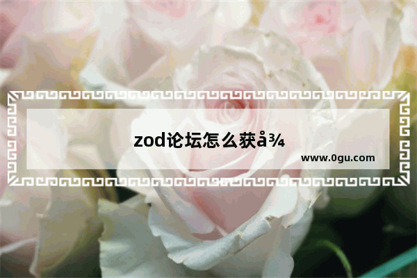 zod论坛怎么获得++