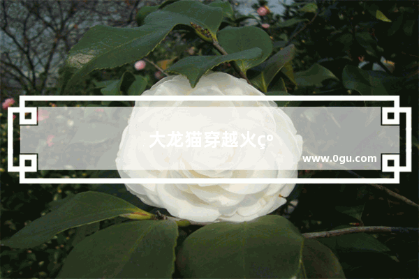 大龙猫穿越火线哪个区
