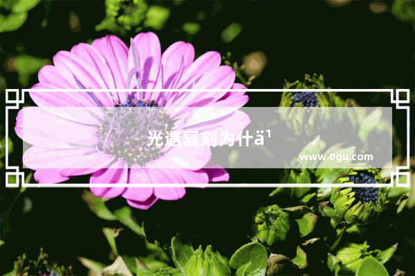 光遇复刻为什么没有到遇境的先祖