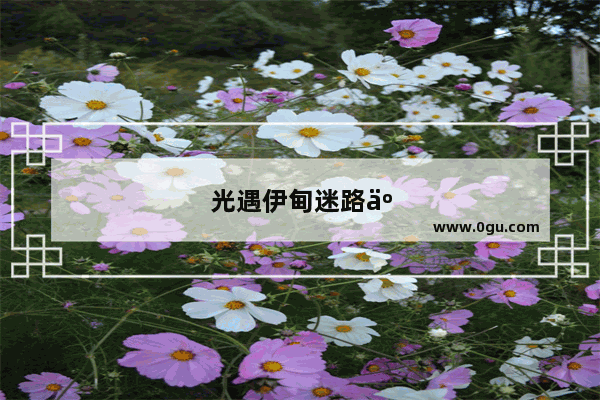 光遇伊甸迷路了怎么办