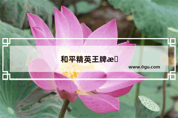 和平精英王牌掉下来还有印记吗