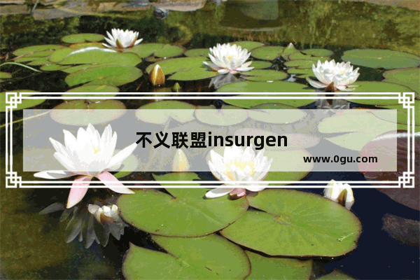 不义联盟insurgency角色有哪些