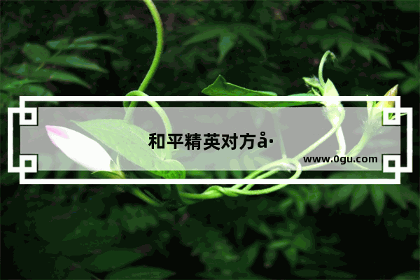 和平精英对方已加入其他队伍是什么意思