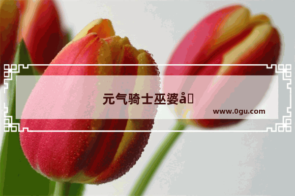 元气骑士巫婆在什么关卡