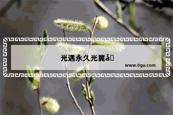 光遇永久光翼加光翼一共能到多少