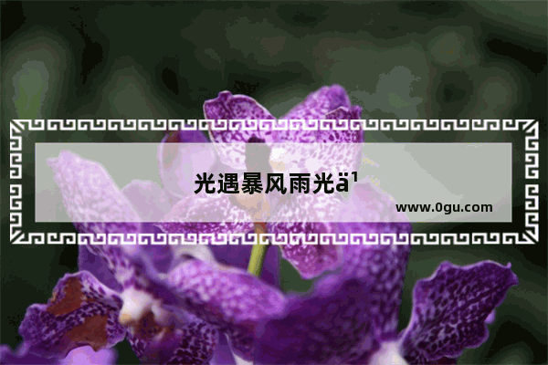 光遇暴风雨光之翼会刷新吗