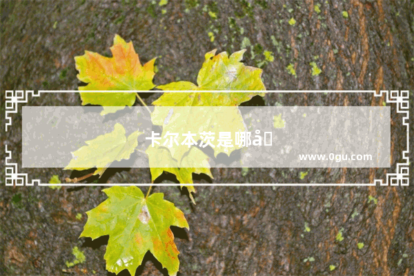 卡尔本茨是哪国人