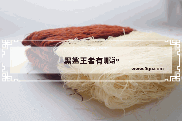 黑鲨王者有哪些辅助功能
